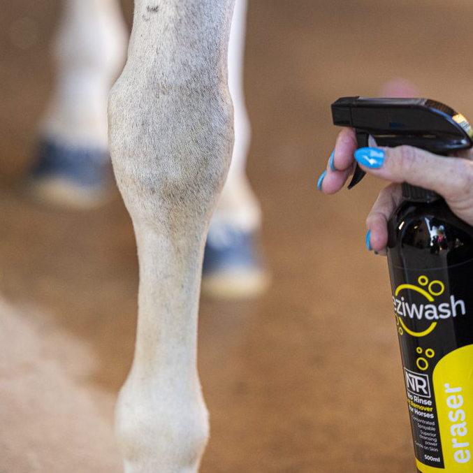 NTR EziWash Eraser 500ml
