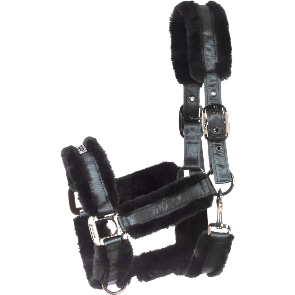 Tack & Halters
