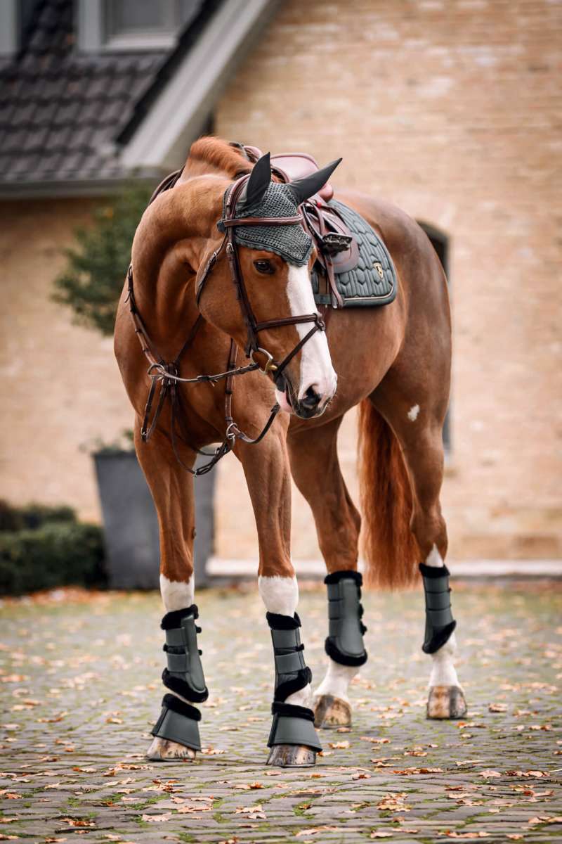 Horse Fashion