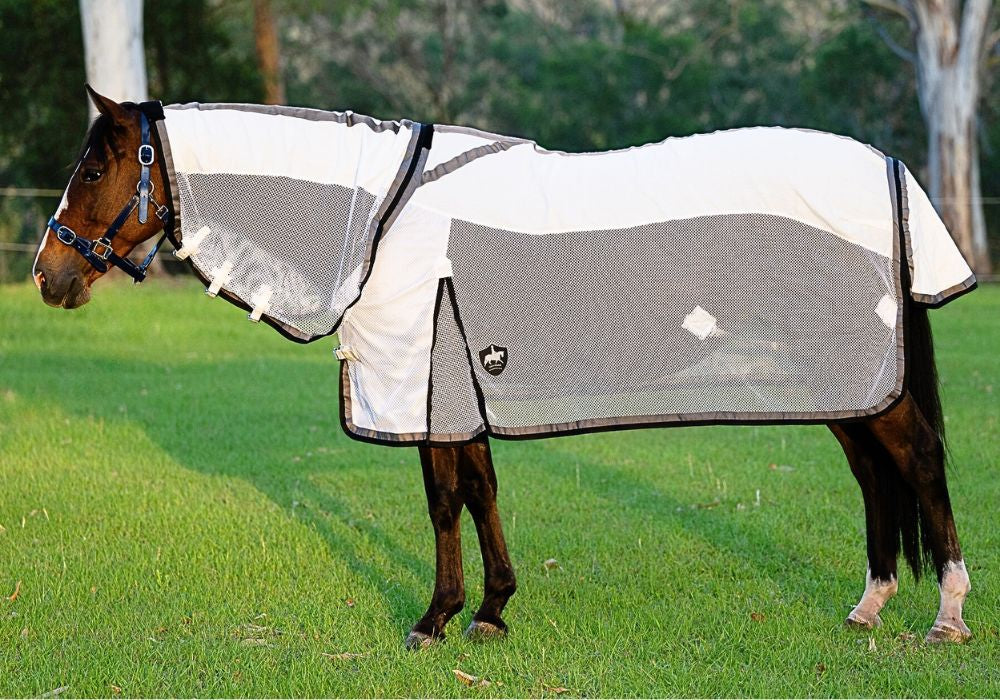 Gala Equine Summer Mesh Hybrid Combo