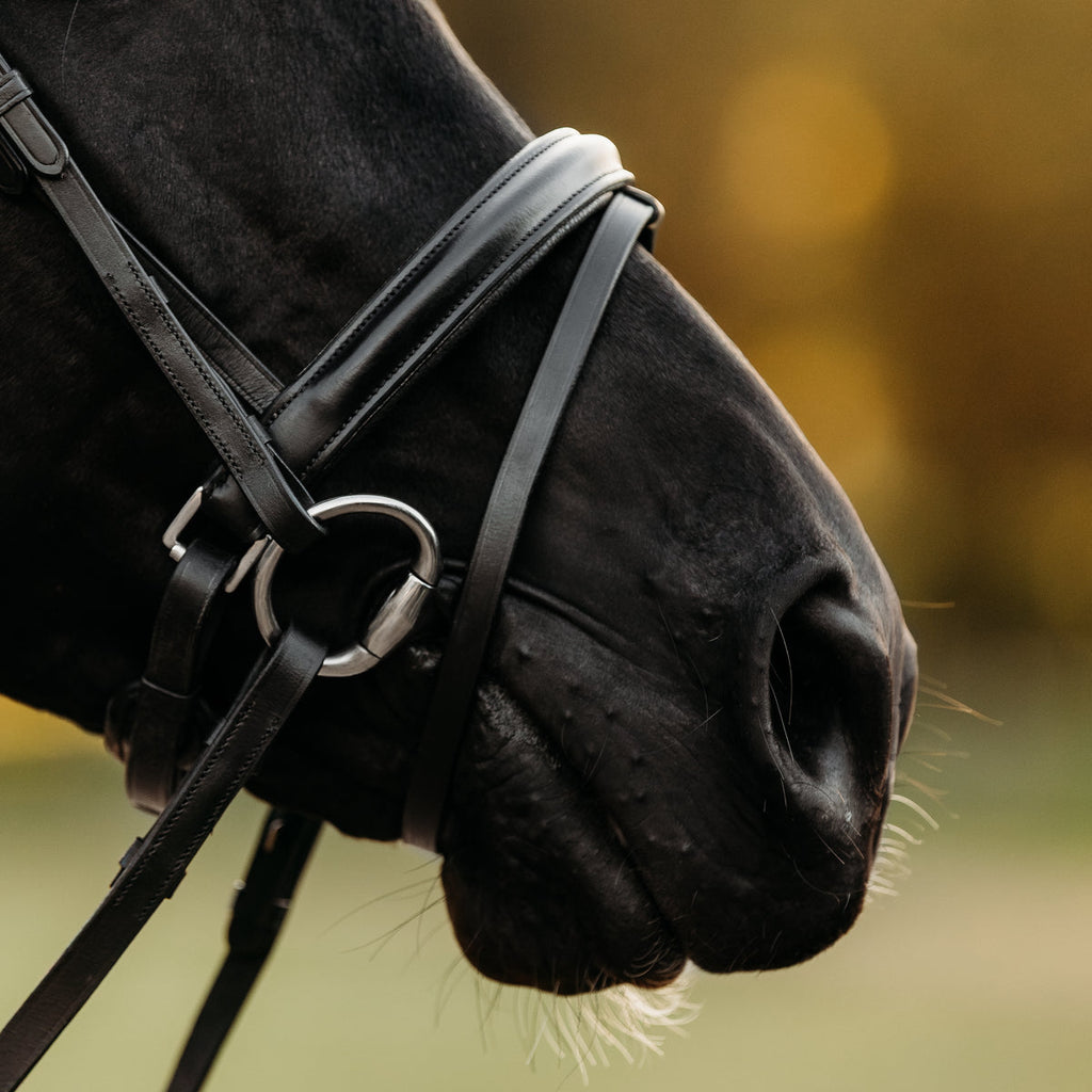 Lumiere Demi Bridle