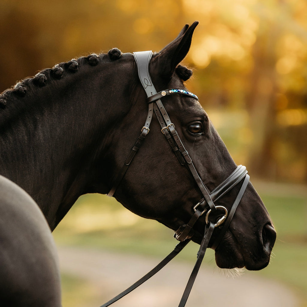 Lumiere Demi Bridle
