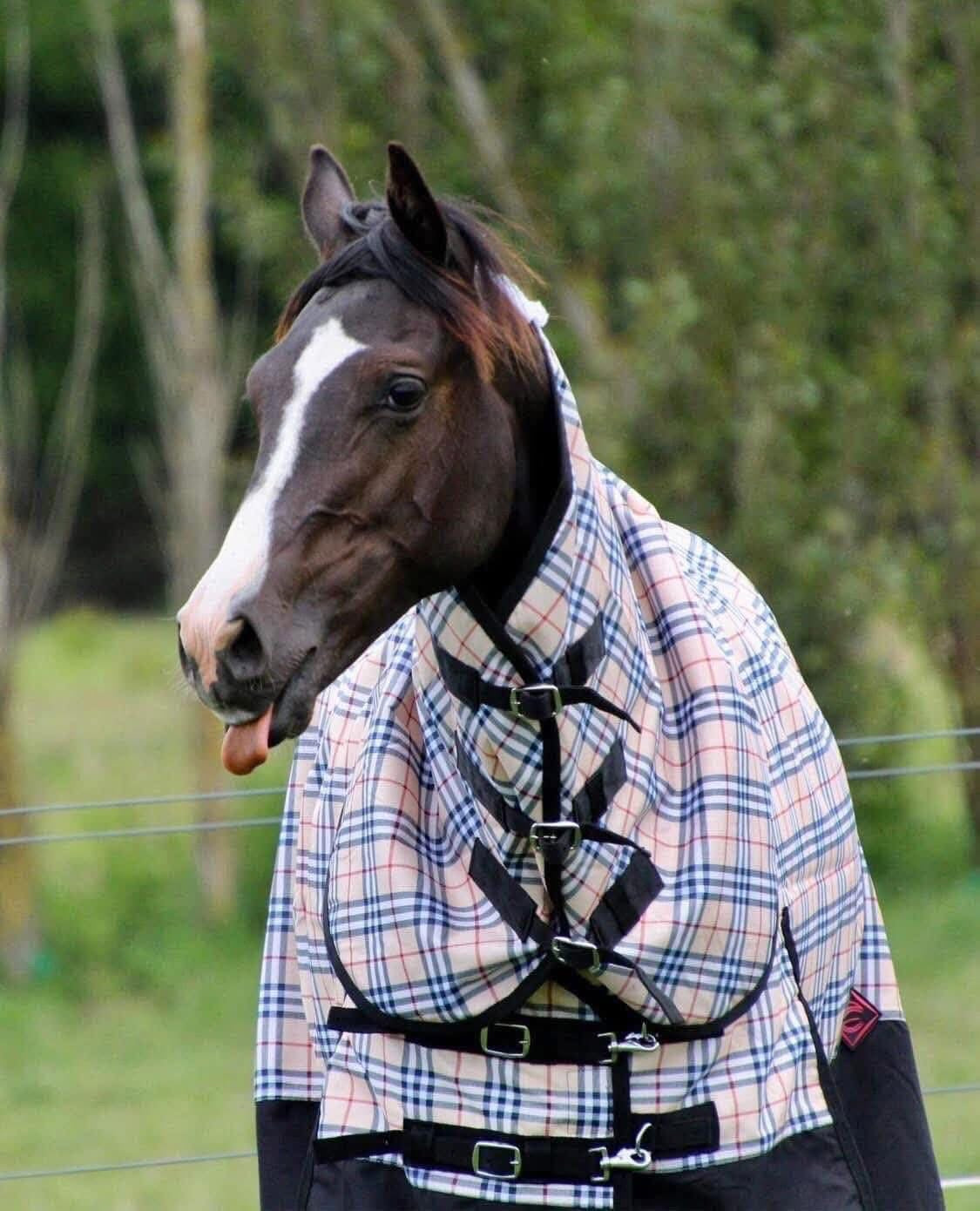 Zeberdee Equine 200g Detachable Rugs