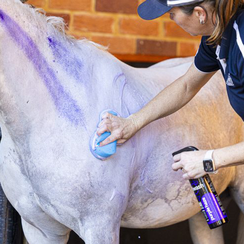 NTR EziWash Purple Haze Shampoo