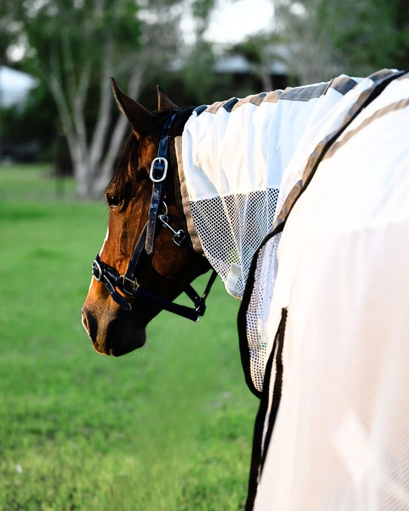 Gala Equine Summer Mesh Hybrid Combo