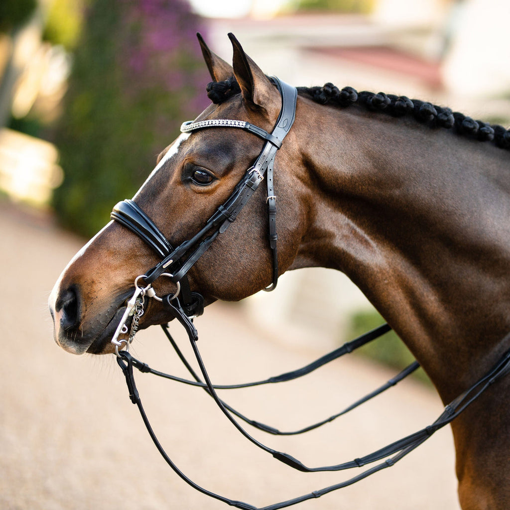 Lumiere Amie Double Bridle