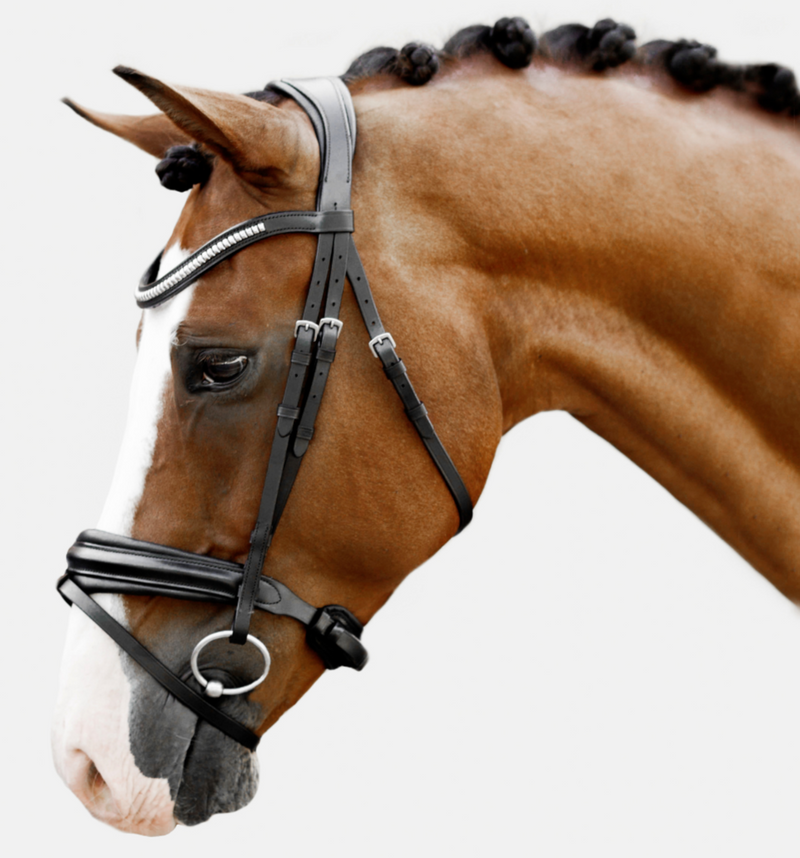 Lumiere 'Melodie' Classic Bridle