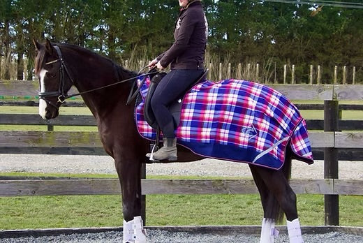 Zeberdee Equine Exercise Sheets