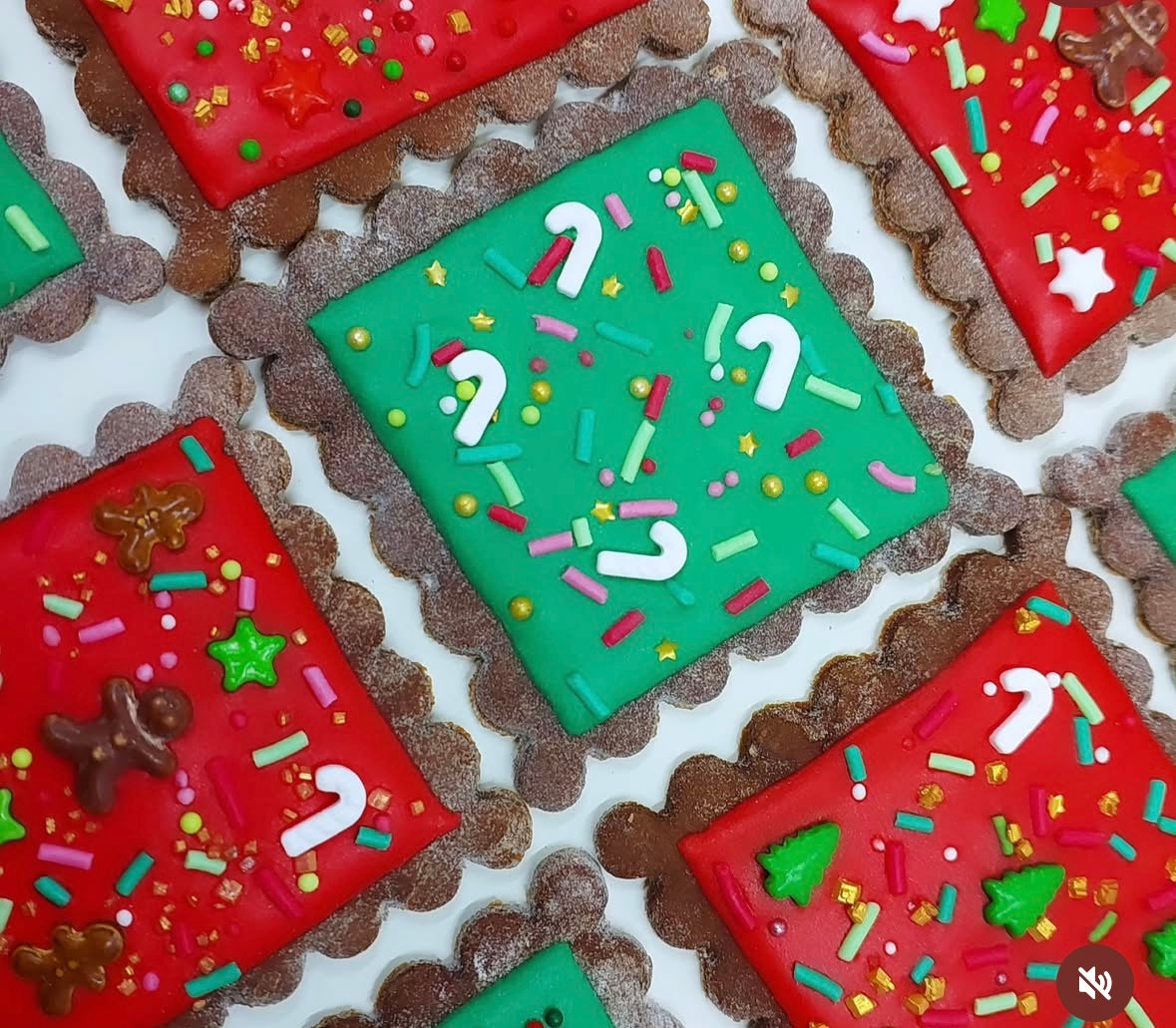 Equine Eats N Treats Novelty Cookies