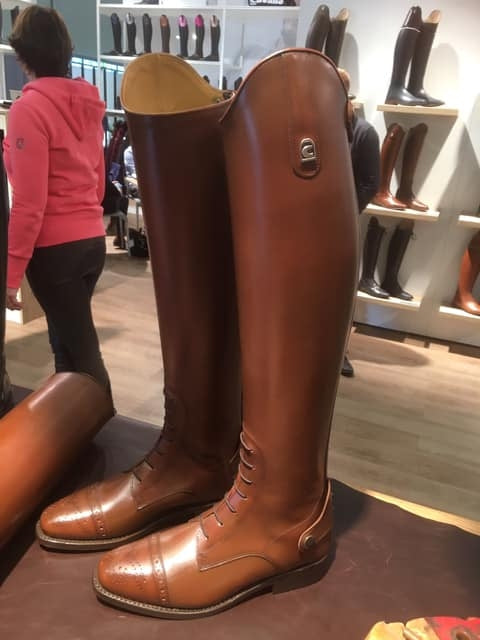 CAVALLO CAMBRIDGE