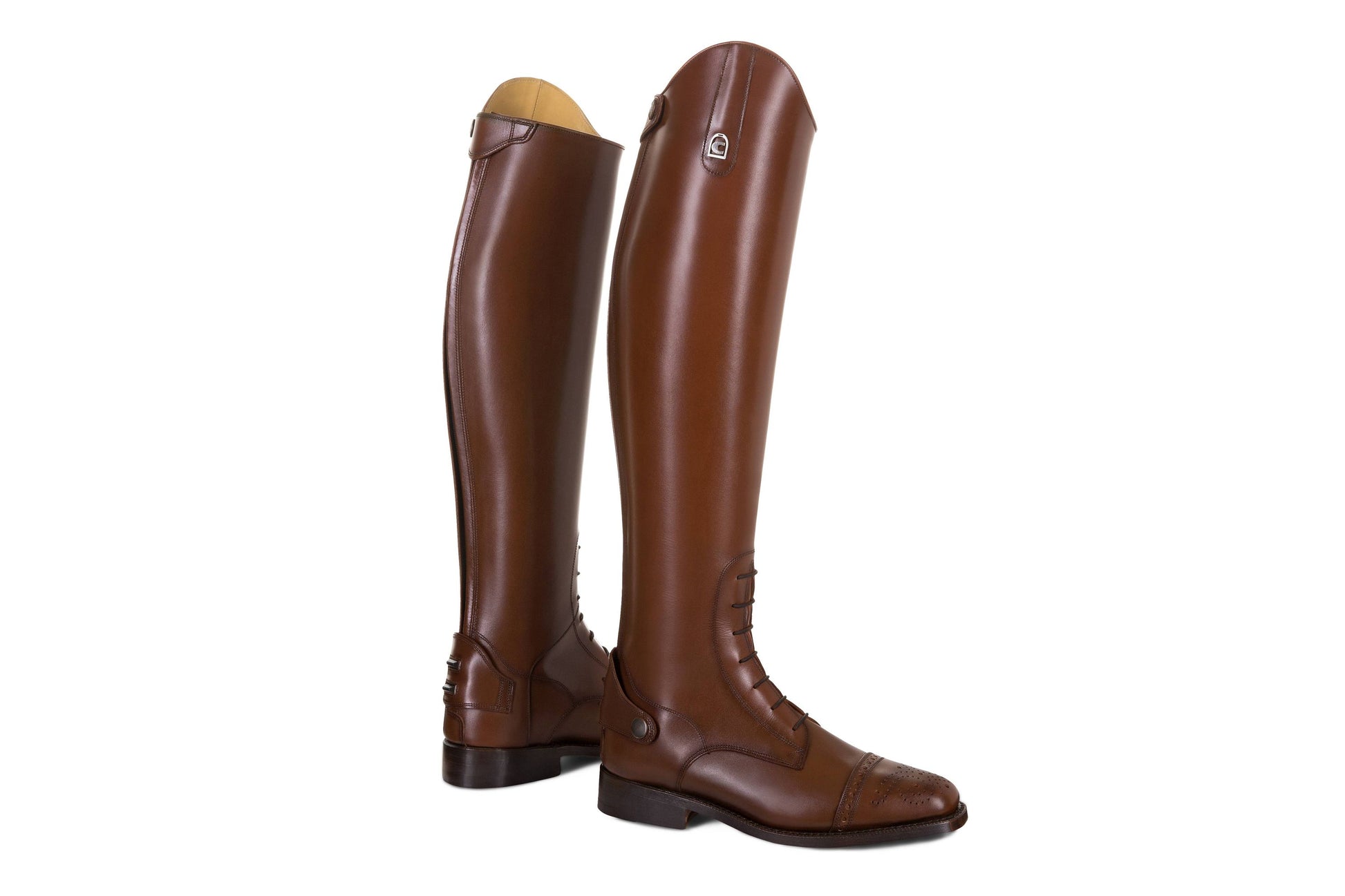 CAVALLO CAMBRIDGE