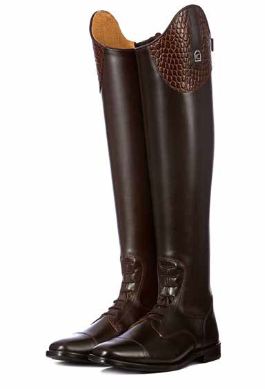 CAVALLINUS DRESSAGE AND JUMP EDITION - CAIMAN