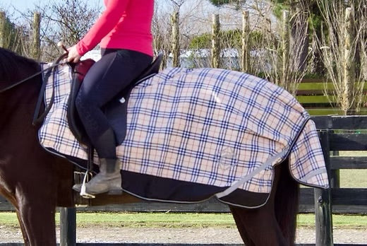 Zeberdee Equine Exercise Sheets
