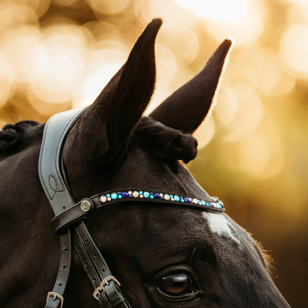 Lumiere Demi Bridle