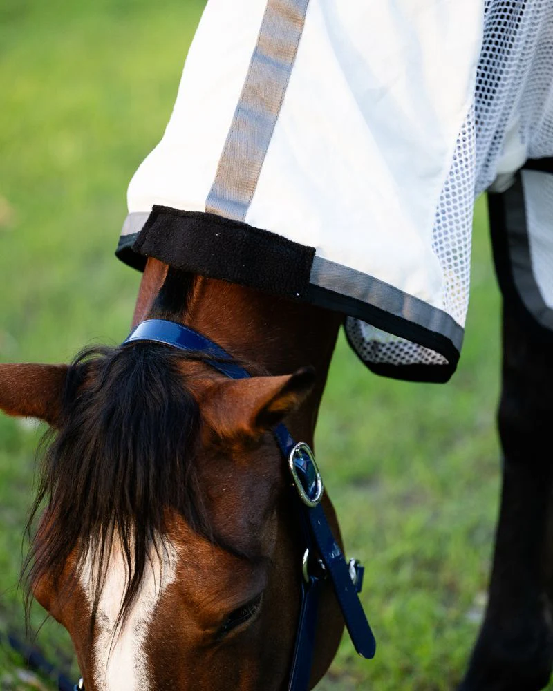 Gala Equine Summer Mesh Hybrid Combo