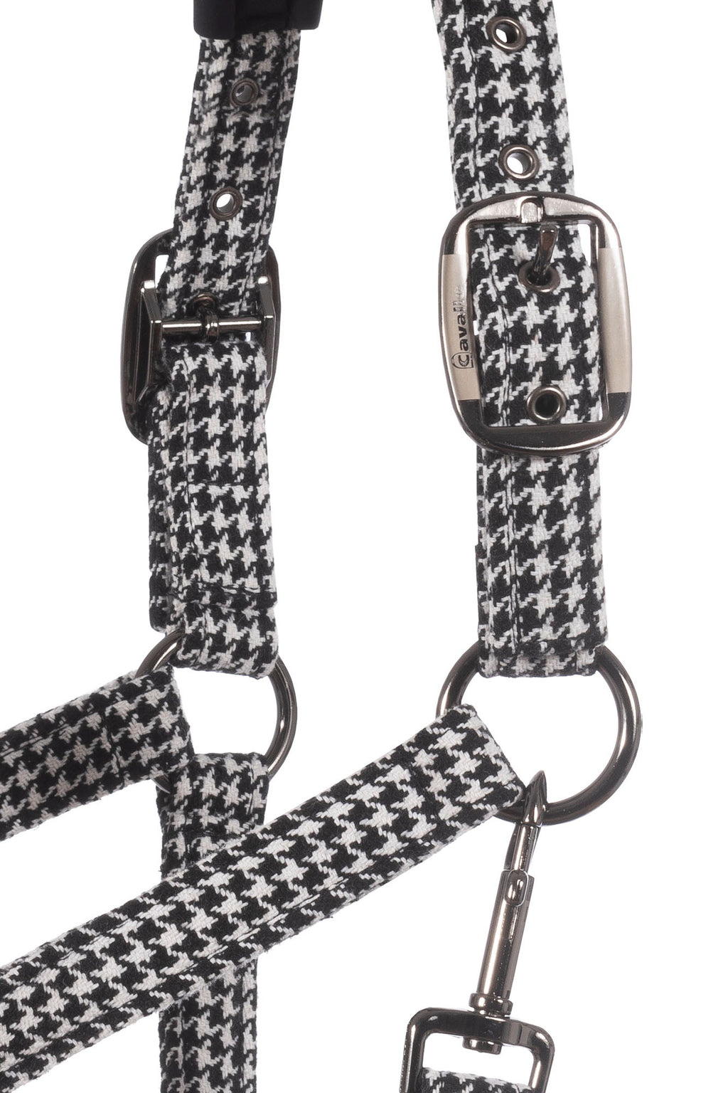 CavalPeppy Halter