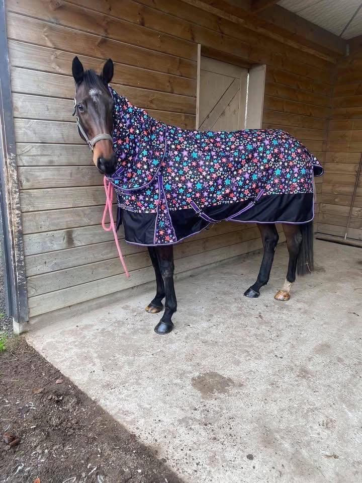 Zeberdee Equine 1680D 50g Detachable Rugs