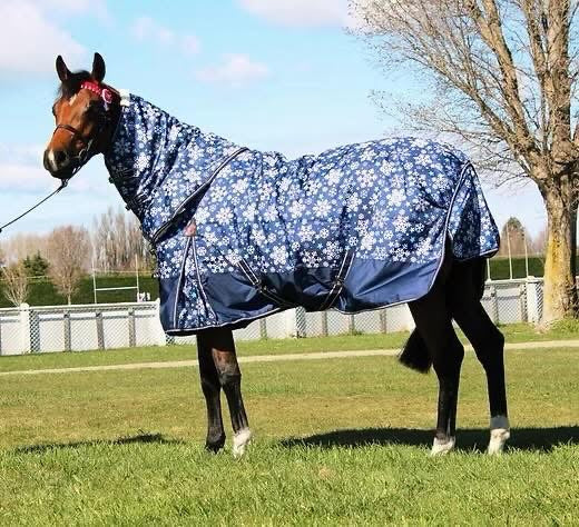 Zeberdee Equine Rug Sale - $120.00