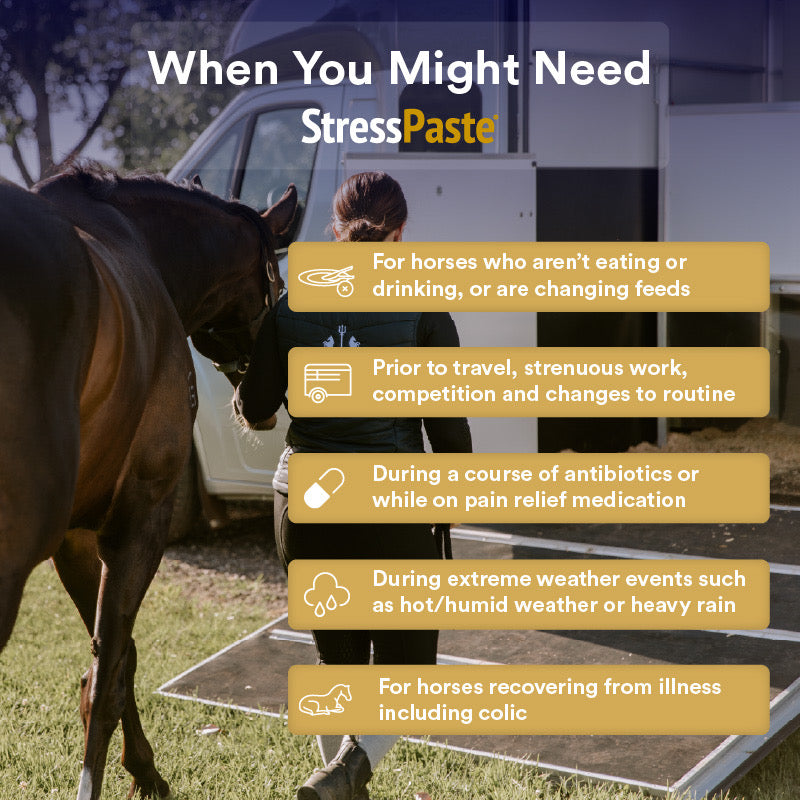 Posideon Stress Paste Tube