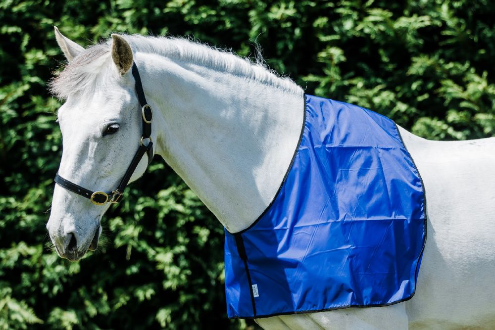 Flair Anti Rub Vest