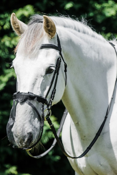 Flair Fly Mesh Nose Guard - Cob