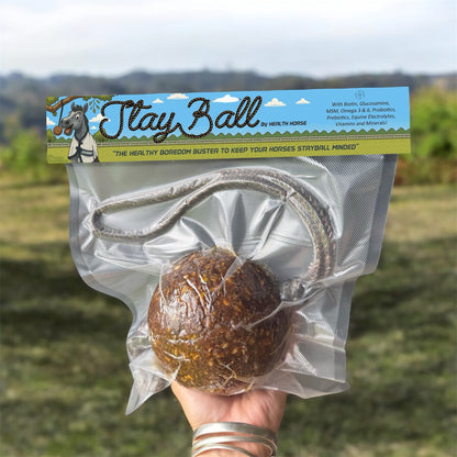 Health Horse StayBall