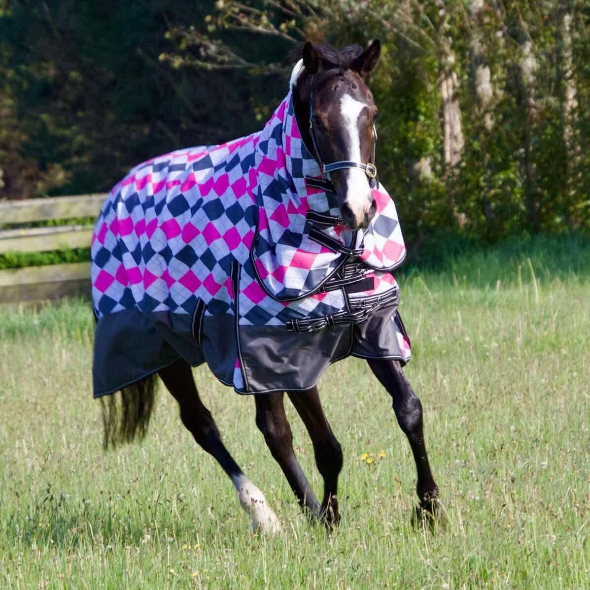 Zeberdee Equine 50g Detachable Rugs