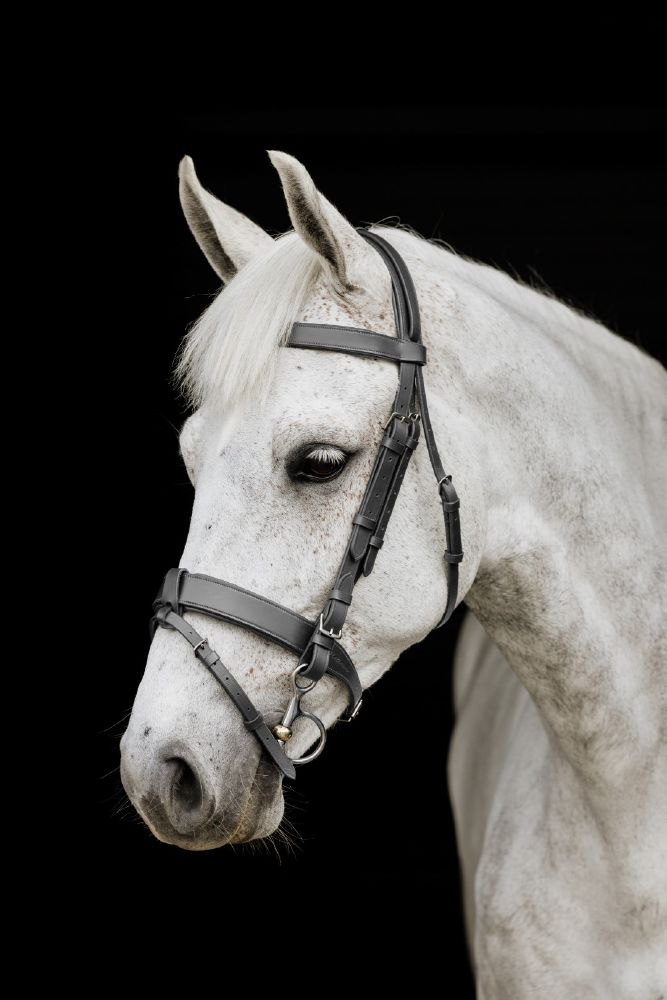 Platinum Wide Padded Hunt Bridle
