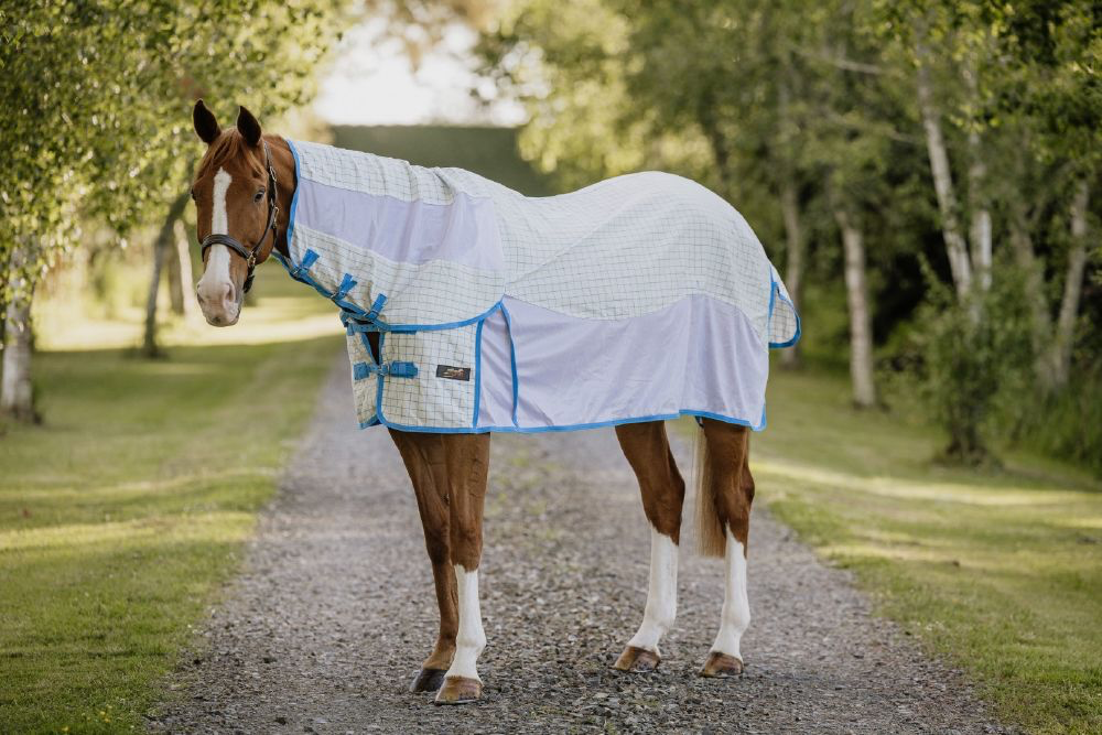 Flair Breezer Mesh Combo