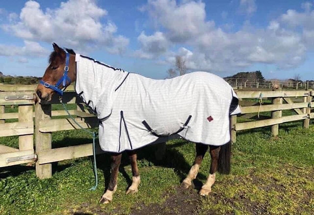 Zeberdee Equine Polycotton Combo