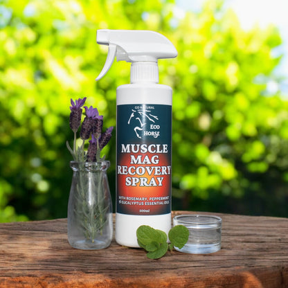Eco Horse Muscle Mag Recovery Spray