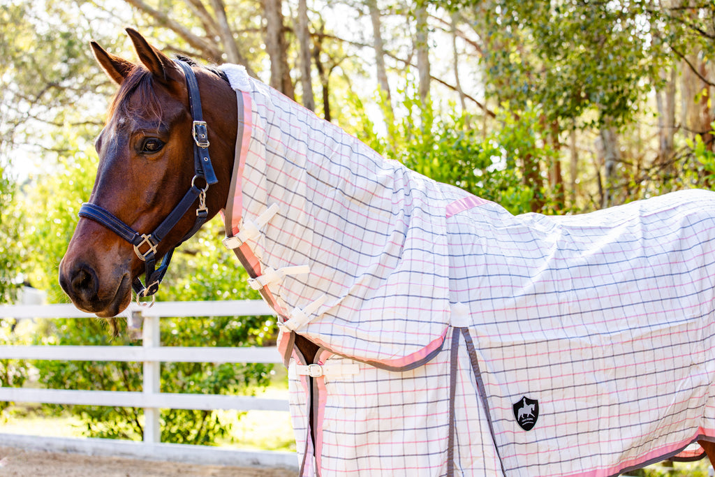 Gala Equine CLASSIC Ripstop Neck Combo