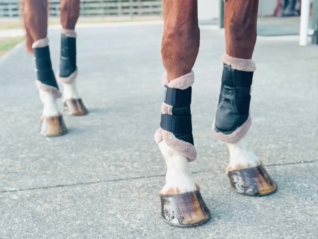 CavalJoca Brushing Boots