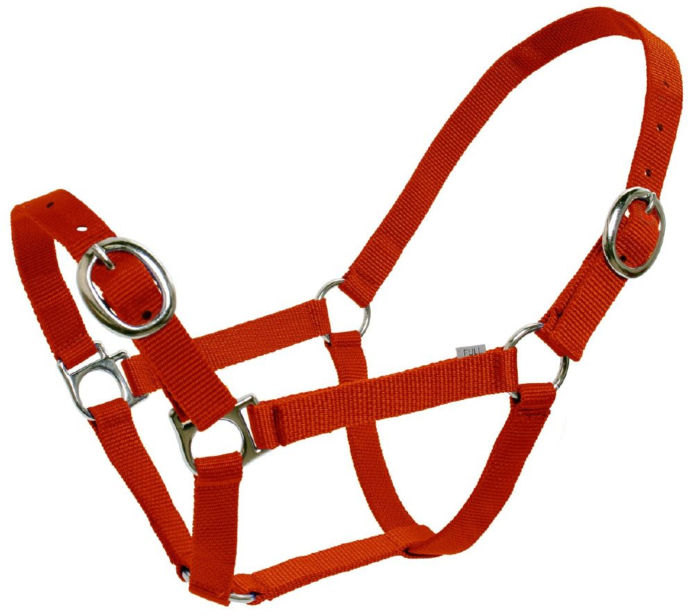Flair Web Halter