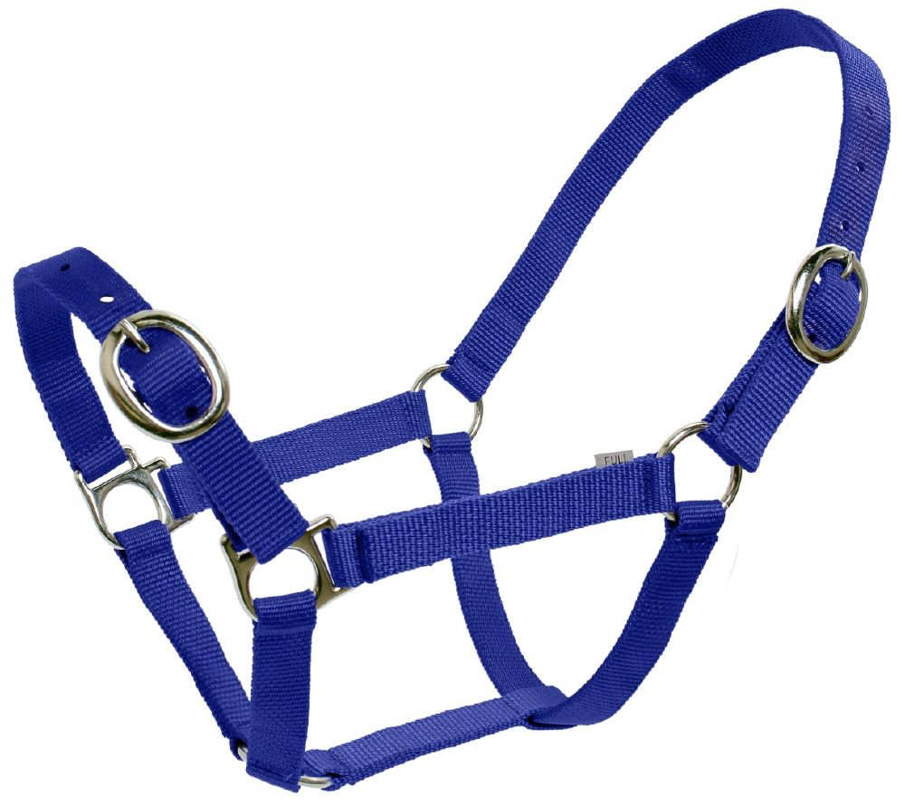 Flair Web Halter