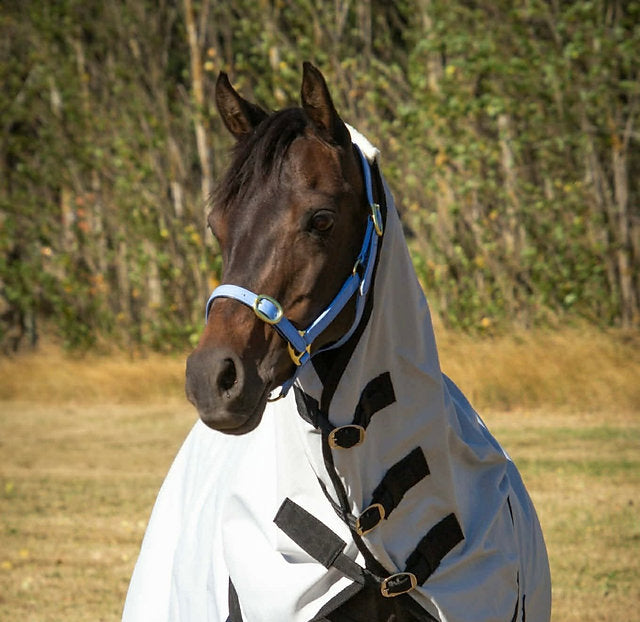 Zeberdee 0g Detach Waffle Lined