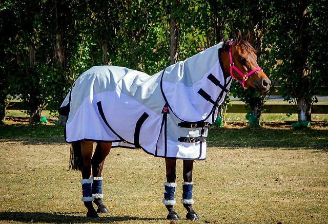 Zeberdee Equine 0g Hybrid