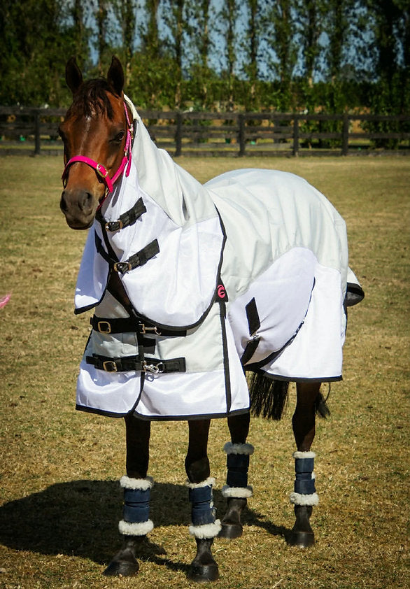 Zeberdee Equine 0g Hybrid