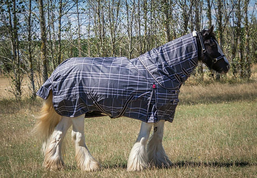 Zeberdee Equine 100g Combos