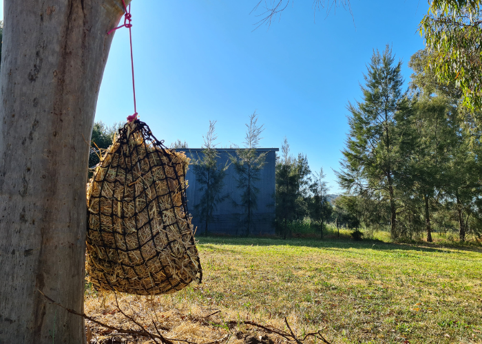 Gutzbusta Knotless Hay Nets (Assorted sizes)