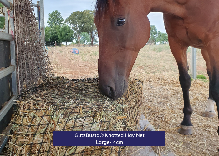 Gutzbusta Knotless Hay Nets (Assorted sizes)