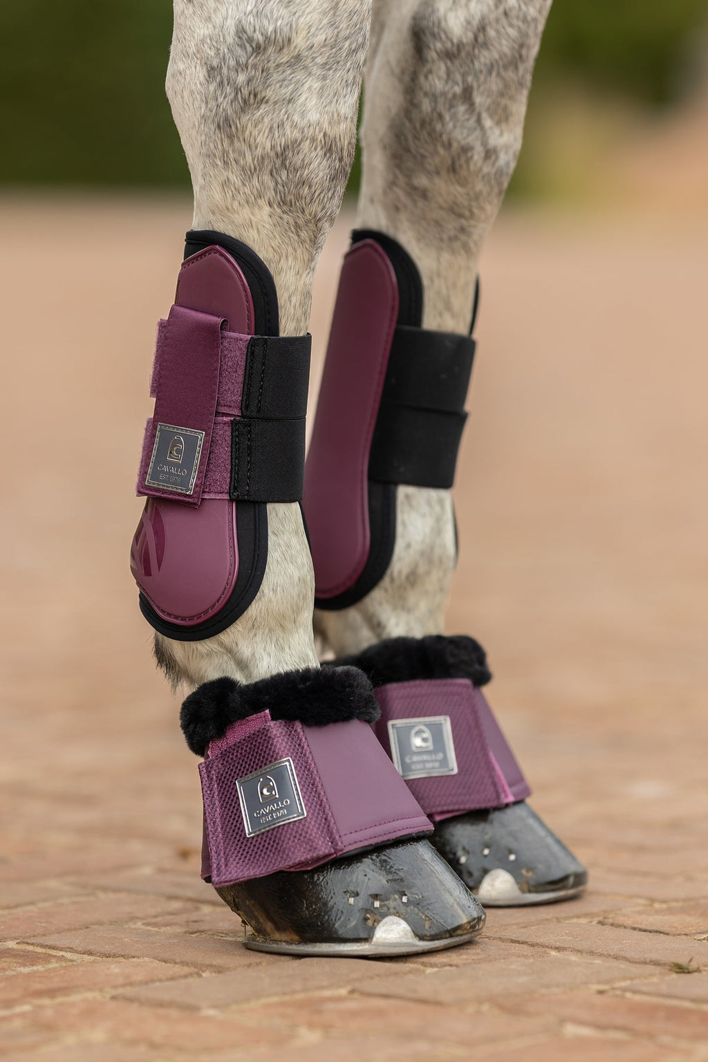 CavalHolda Jumping boots