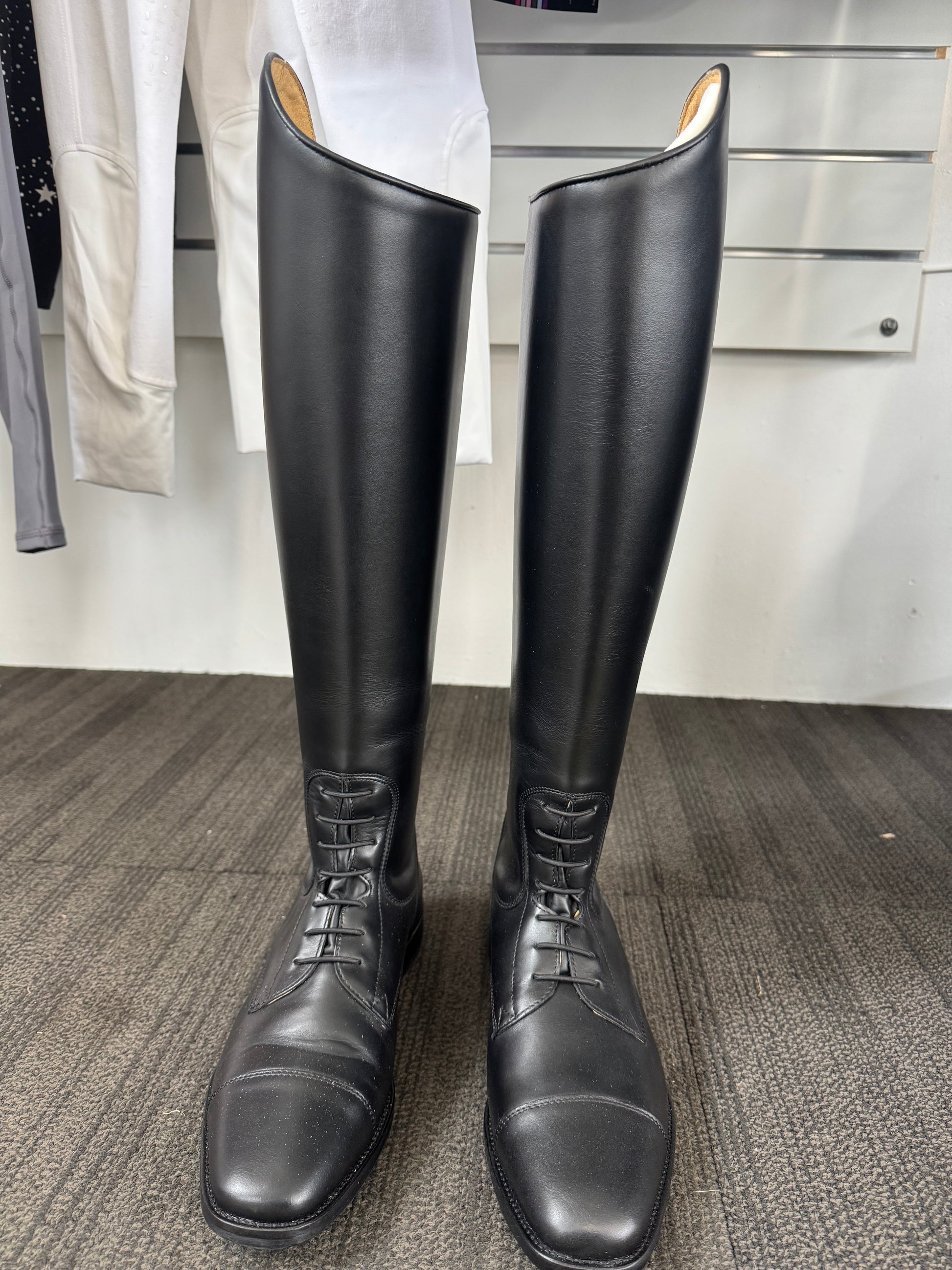 CavalLinus Jump Edition