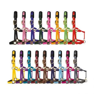 KM ELITE HALTERS