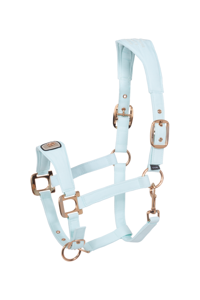 CAVALPAWEL HALTER