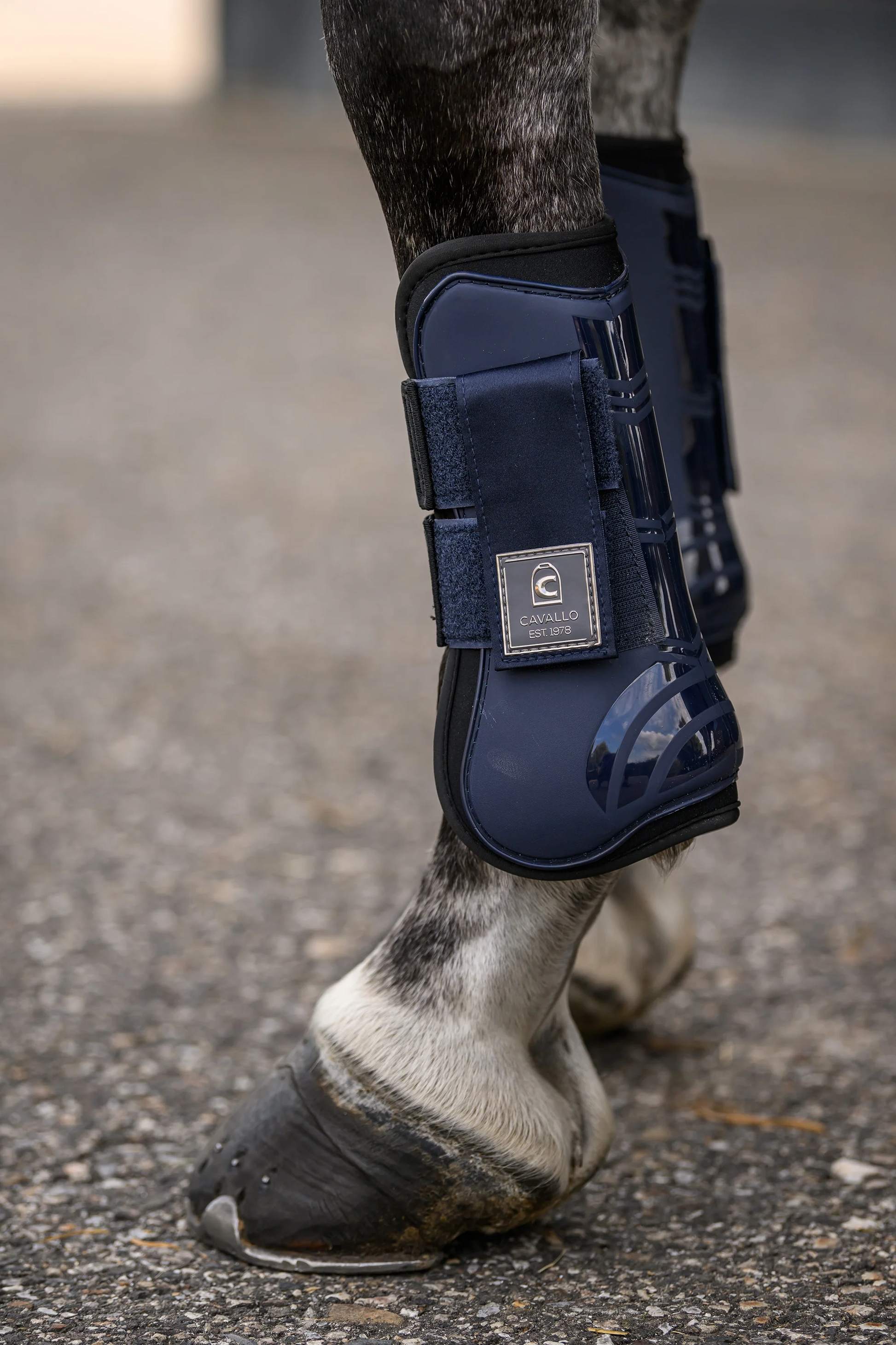 CavalHolda Jumping boots